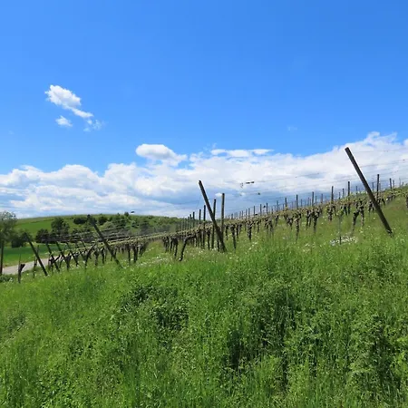 Alter Ortsweg 아파트